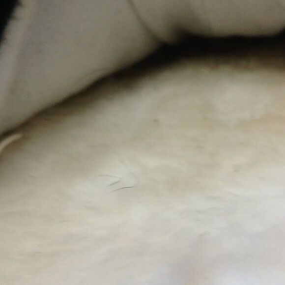 Areopostale Fuzzy Penguin Slippers Medium 7-8/Black, White,Orange/Slip-on CUTE - Picture 13 of 16